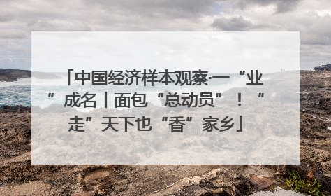 中国经济样本观察·一“业”成名丨面包“总动员”！“走”天下也“香”家乡