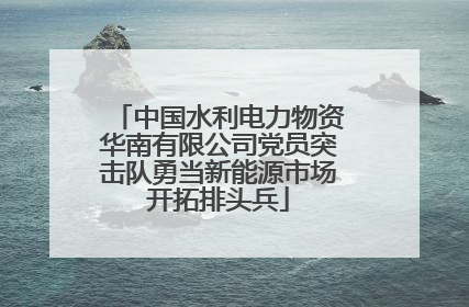 中国水利电力物资华南有限公司党员突击队勇当新能源市场开拓排头兵