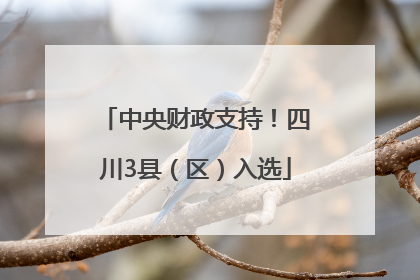 中央财政支持！四川3县（区）入选