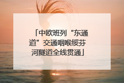 中欧班列“东通道”交通咽喉绥芬河隧道全线贯通