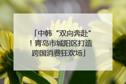 中韩“双向奔赴”！青岛市城阳区打造跨国消费狂欢场
