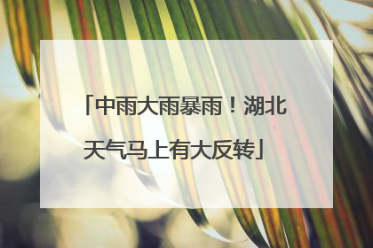中雨大雨暴雨！湖北天气马上有大反转