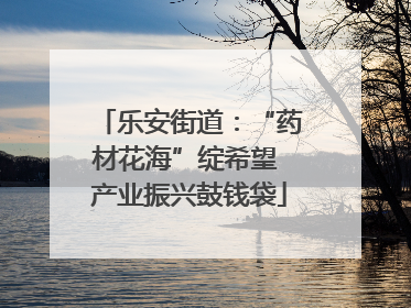 乐安街道：“药材花海”绽希望 产业振兴鼓钱袋