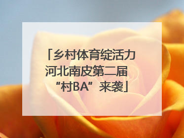 乡村体育绽活力 河北南皮第二届“村BA”来袭