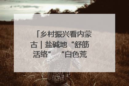乡村振兴看内蒙古｜盐碱地“舒筋活络” “白色荒漠”长出吨粮田
