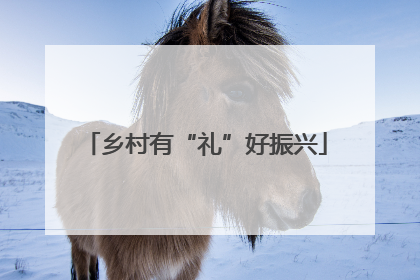 乡村有“礼”好振兴
