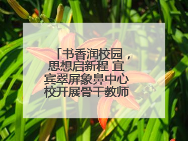 书香润校园，思想启新程 宜宾翠屏象鼻中心校开展骨干教师读书分享活动