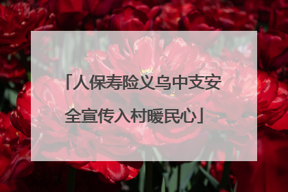 人保寿险义乌中支安全宣传入村暖民心