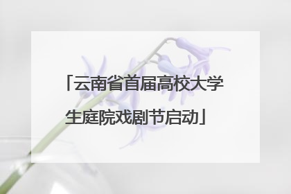 云南省首届高校大学生庭院戏剧节启动