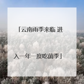 云南雨季来临 进入一年一度吃菌季
