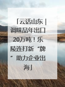 云话山东｜调味品年出口20万吨！乐陵连打新“牌”助力企业出海