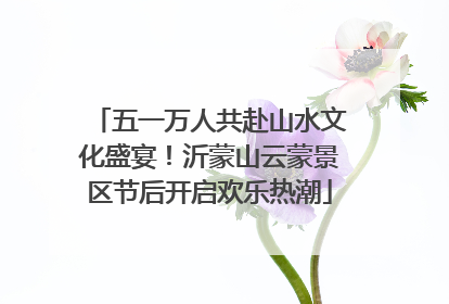 五一万人共赴山水文化盛宴！沂蒙山云蒙景区节后开启欢乐热潮