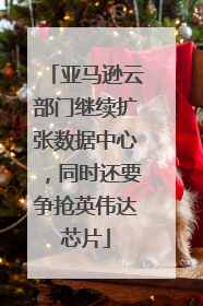 亚马逊云部门继续扩张数据中心，同时还要争抢英伟达芯片