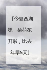 今夏西湖第一朵荷花开啦，比去年早5天