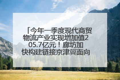 今年一季度现代商贸物流产业实现增加值205.7亿元！廊坊加快构建链接京津冀面向全世界的物流通道