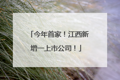 今年首家！江西新增一上市公司！
