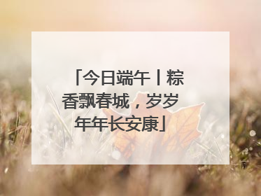 今日端午丨粽香飘春城，岁岁年年长安康