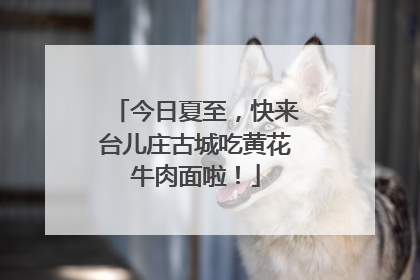 今日夏至，快来台儿庄古城吃黄花牛肉面啦！