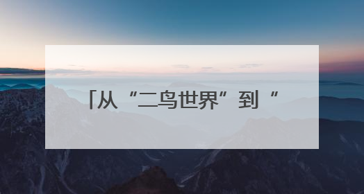 从“二鸟世界”到“五口之家” 一对东方白鹳的黄河口之恋
