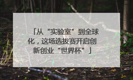 从“实验室”到全球化，这场选拔赛开启创新创业“世界杯”