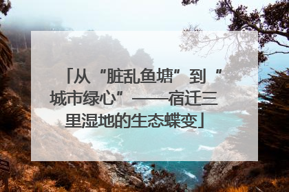 从“脏乱鱼塘”到“城市绿心”——宿迁三里湿地的生态蝶变