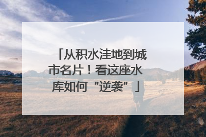 从积水洼地到城市名片！看这座水库如何“逆袭”