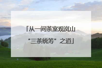从一间茶室观岚山“三茶统筹”之道