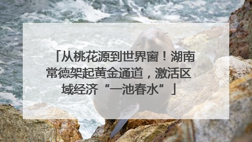 从桃花源到世界窗！湖南常德架起黄金通道，激活区域经济“一池春水”