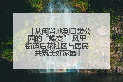 从闲置地到口袋公园的“蝶变” 凤里街道后花社区与居民共筑美好家园