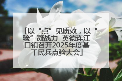 以“点”见质效，以“验”凝战力  英德连江口镇召开2025年度基干民兵点验大会