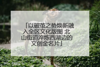 以破茧之势焕新融入全区文化版图 北山街道淬炼西湖边的文创金名片