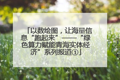 以数绘图，让海量信息“跑起来”——“绿色算力赋能青海实体经济”系列报道①