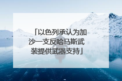 以色列承认为加沙一支反哈马斯武装提供武器支持