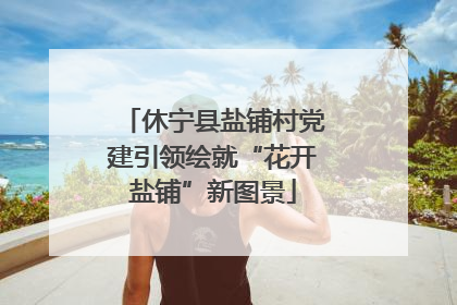 休宁县盐铺村党建引领绘就“花开盐铺”新图景