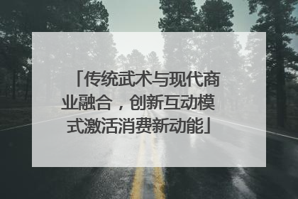 传统武术与现代商业融合，创新互动模式激活消费新动能