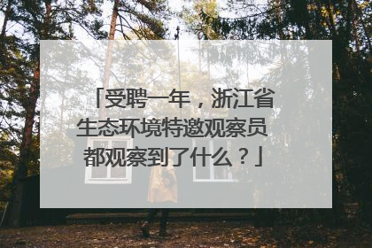 受聘一年，浙江省生态环境特邀观察员都观察到了什么？