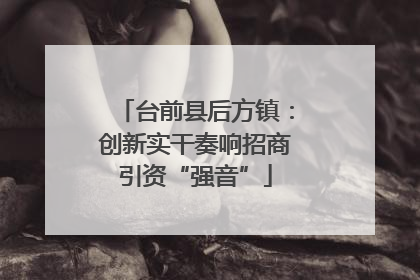 台前县后方镇：创新实干奏响招商引资“强音”