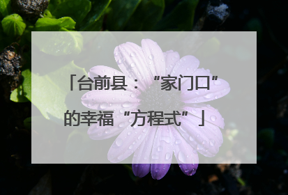 台前县：“家门口”的幸福“方程式”