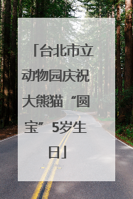 台北市立动物园庆祝大熊猫“圆宝”5岁生日