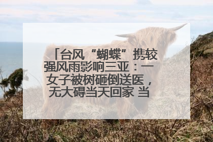 台风“蝴蝶”携较强风雨影响三亚：一女子被树砸倒送医，无大碍当天回家 当地已紧急清障
