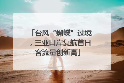 台风“蝴蝶”过境，三亚口岸复航首日客流量创新高