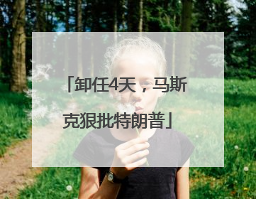卸任4天，马斯克狠批特朗普