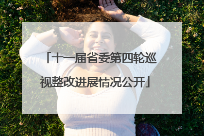 十一届省委第四轮巡视整改进展情况公开