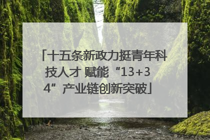 十五条新政力挺青年科技人才 赋能“13+34”产业链创新突破