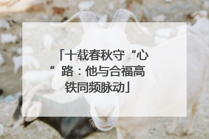 十载春秋守“心”路：他与合福高铁同频脉动