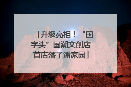 升级亮相！“国字头”国潮文创店首店落子潘家园
