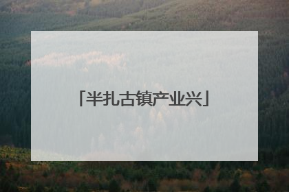 半扎古镇产业兴