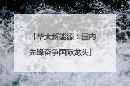 华太新能源：国内先锋奋争国际龙头
