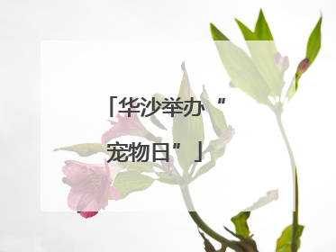 华沙举办“宠物日”