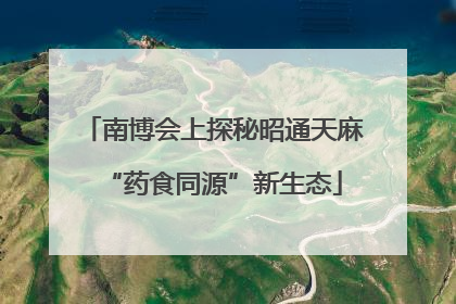 南博会上探秘昭通天麻“药食同源”新生态